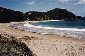 Bild: Beach from Ngunguru /Tutukaka / NZ